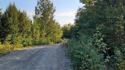 Farm and Ranch in Penobscot County, Maine