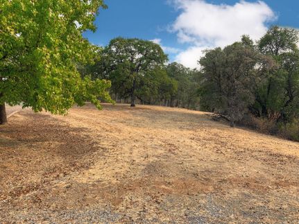 Undeveloped Land in Tehama County, California