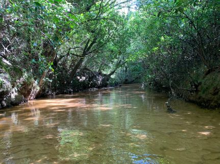 Land in Dale County, Alabama