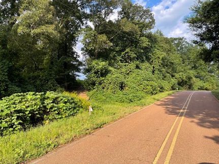 Hunting Property in Hardeman County, Tennessee