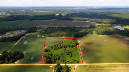 Undeveloped Land in Pulaski County, Georgia