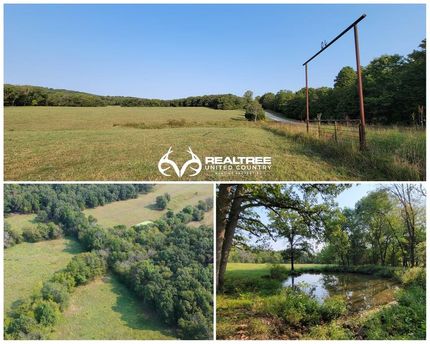 Land in Douglas County, Missouri