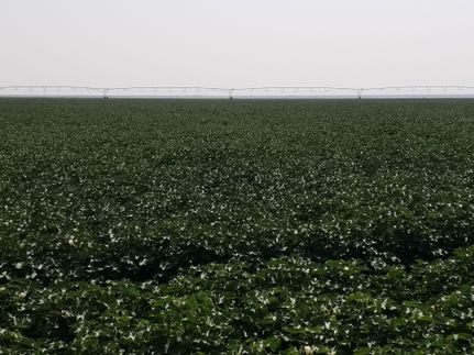 Land in Sherman County, Texas