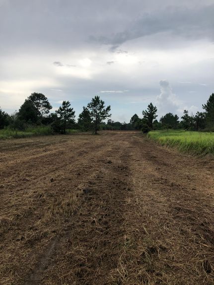 Recreational Property in Baldwin County, Alabama