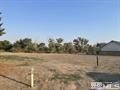 Undeveloped Land in Lyon County, Nevada