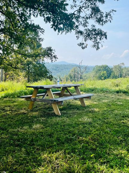 Timberland Property in Cherokee County, North Carolina