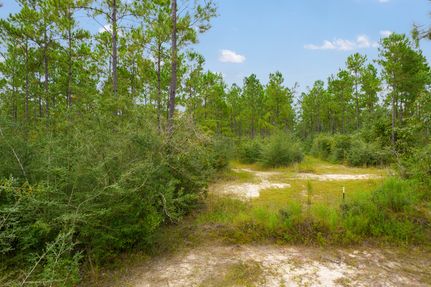 Timberland Property in Santa Rosa County, Florida