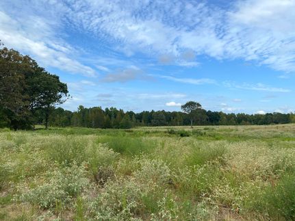 Undeveloped Land in Cass County, Texas