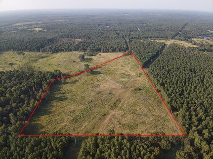 Undeveloped Land in Cass County, Texas