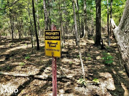 Hunting Property in Perry County, Alabama