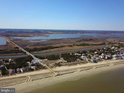 Farm and Ranch in Sussex County, Delaware