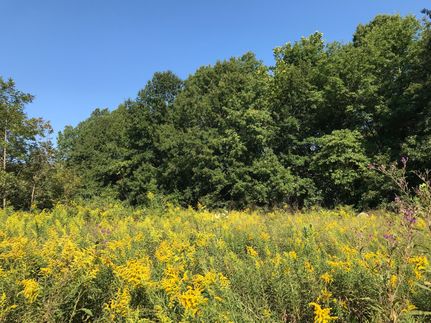 Farm and Ranch in Sullivan County, Indiana