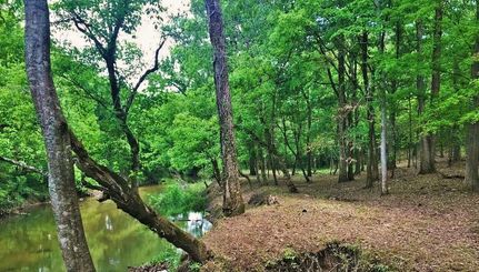 Recreational Property in Shelby County, Alabama