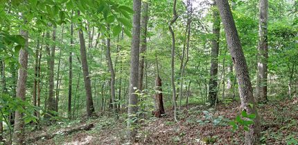 Recreational Property in Barbour County, West Virginia