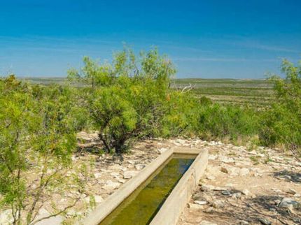 Land in Terrell County, Texas