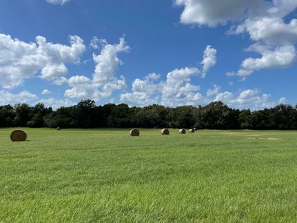 Timberland Property in Anderson County, Texas