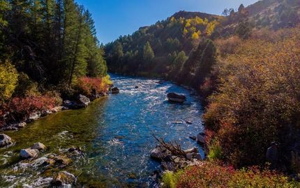 Undeveloped Land in Teton County, Idaho