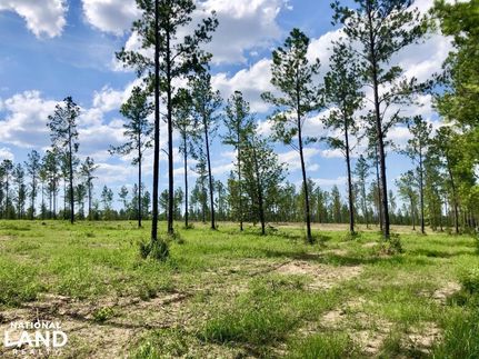Timberland Property in Baldwin County, Alabama