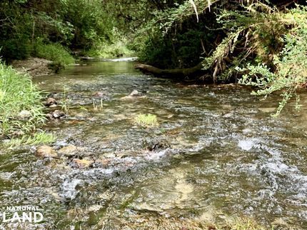 Timberland Property in Baldwin County, Alabama