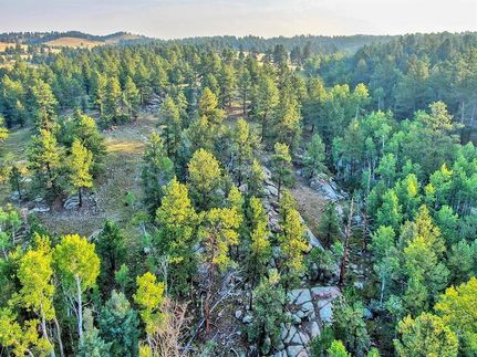 Undeveloped Land in Teller County, Colorado