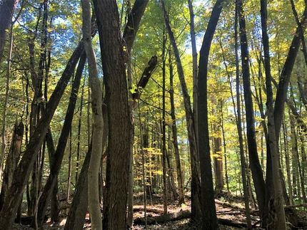 Commercial Property in Oneida County, New York