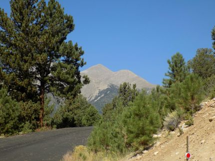 Undeveloped Land in Chaffee County, Colorado