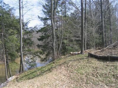 Undeveloped Land in Allegan County, Michigan