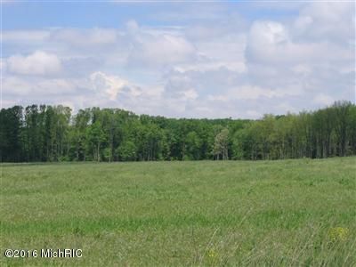 Undeveloped Land in Ottawa County, Michigan