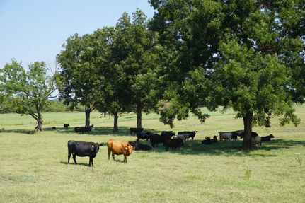 Timberland Property in Lincoln County, Oklahoma