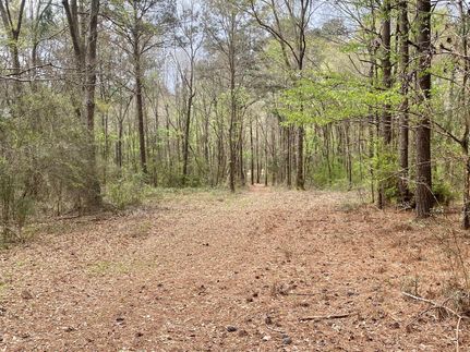 Recreational Property in Pike County, Alabama