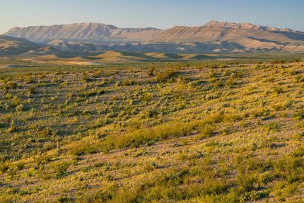 Recreational Property in Brewster County, Texas