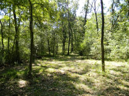 Timberland Property in Waller County, Texas