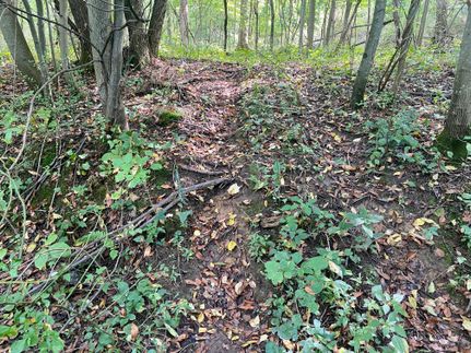 Recreational Property in Westmoreland County, Pennsylvania