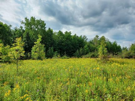Land in Tuscola County, Michigan