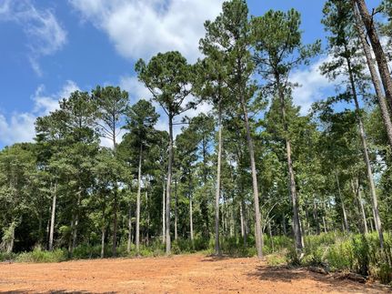 Farm and Ranch in Walton County, Georgia