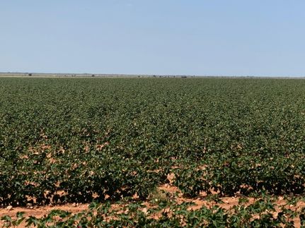 Recreational Property in Yoakum County, Texas