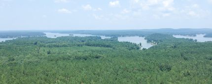 Undeveloped Land in Lee County, Alabama