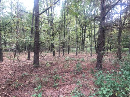 Timberland Property in Red River County, Texas