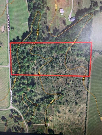 Timberland Property in Bowie County, Texas