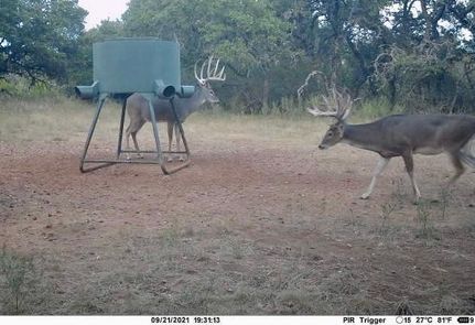 Timberland Property in Mills County, Texas