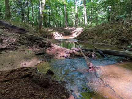 Hunting Property in Nacogdoches County, Texas