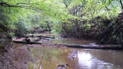 Farm and Ranch in Spartanburg County, South Carolina