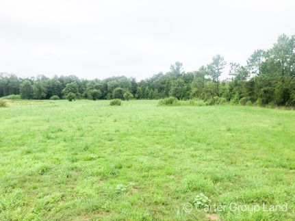 Recreational Property in Wayne County, Georgia