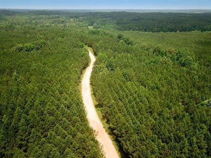 Timberland Property in Chester County, Tennessee