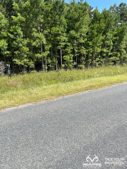 Land in Hampton County, South Carolina