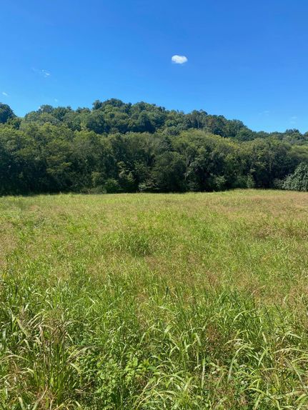 Timberland Property in Giles County, Tennessee