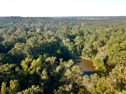 Farm and Ranch in Tyler County, Texas