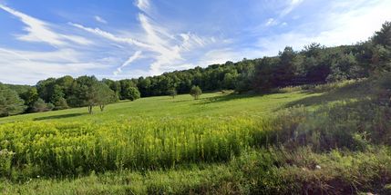 Waterfront Property in Allegany County, New York