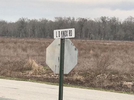 Undeveloped Land in Franklin Parish, Louisiana