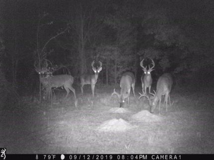 Recreational Property in West Carroll Parish, Louisiana
